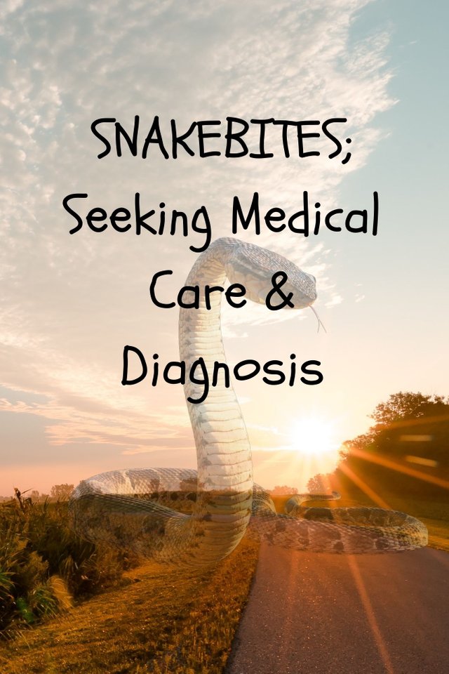 Snake Bites & its Symptoms(1).jpg