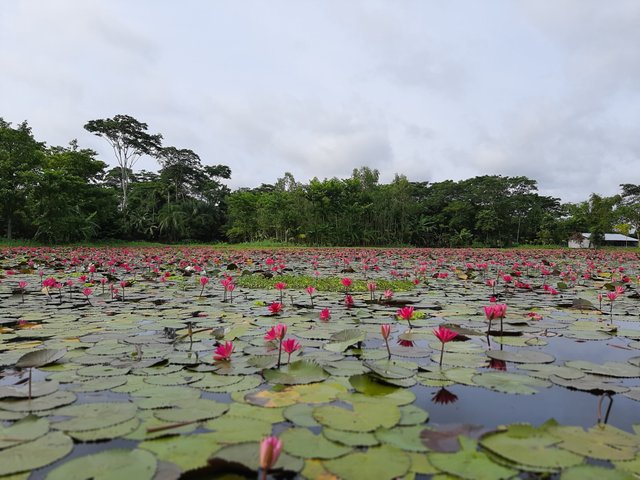 20200908_084826.jpg