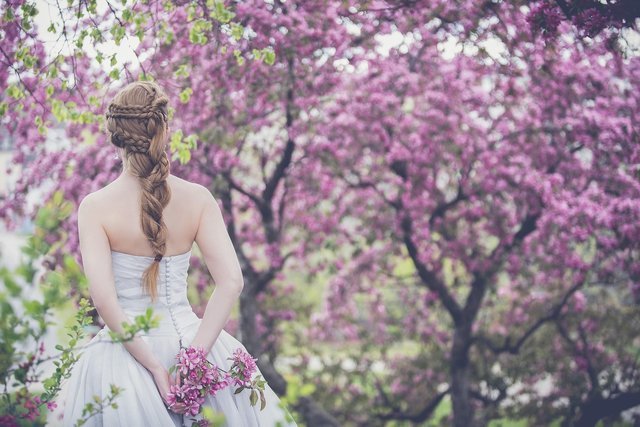 bride-1850075_1280.jpg