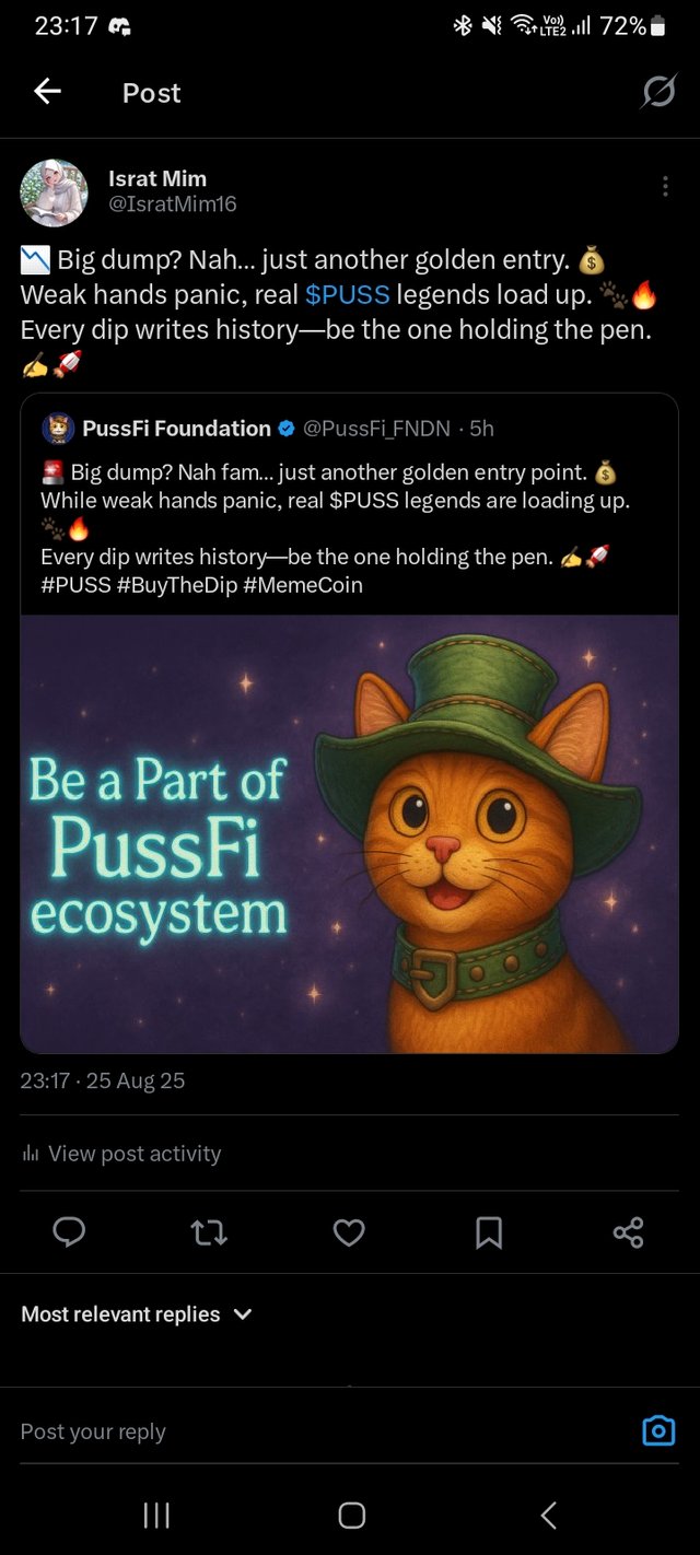 Screenshot_20250825_231745_X.jpg