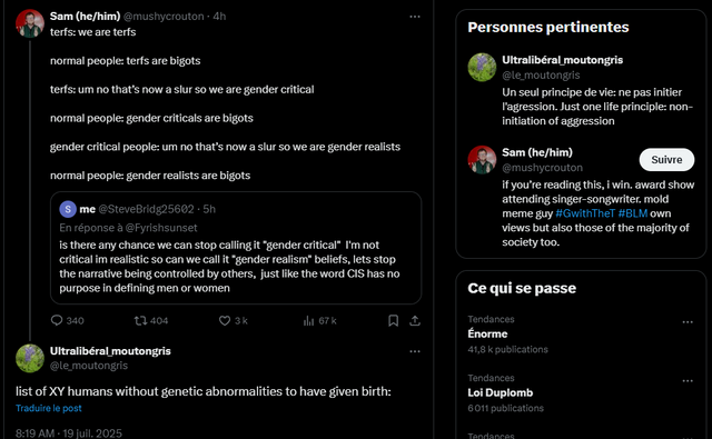 Capture d’écran 2025-07-19 081955.png