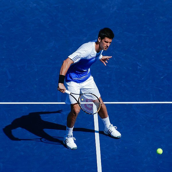 Novak_Djokovic_Volley_01.jpg