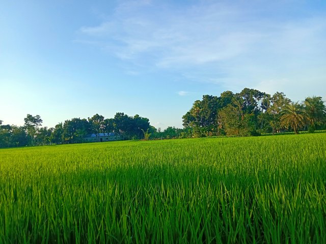 IMG_20250924_185805.jpg