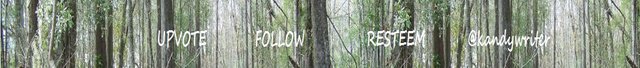 woods UPVOTE FOLLOW BANNER @kandywriter.jpg