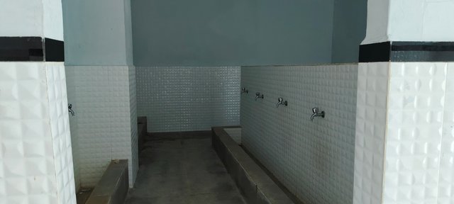 1000320383.jpg