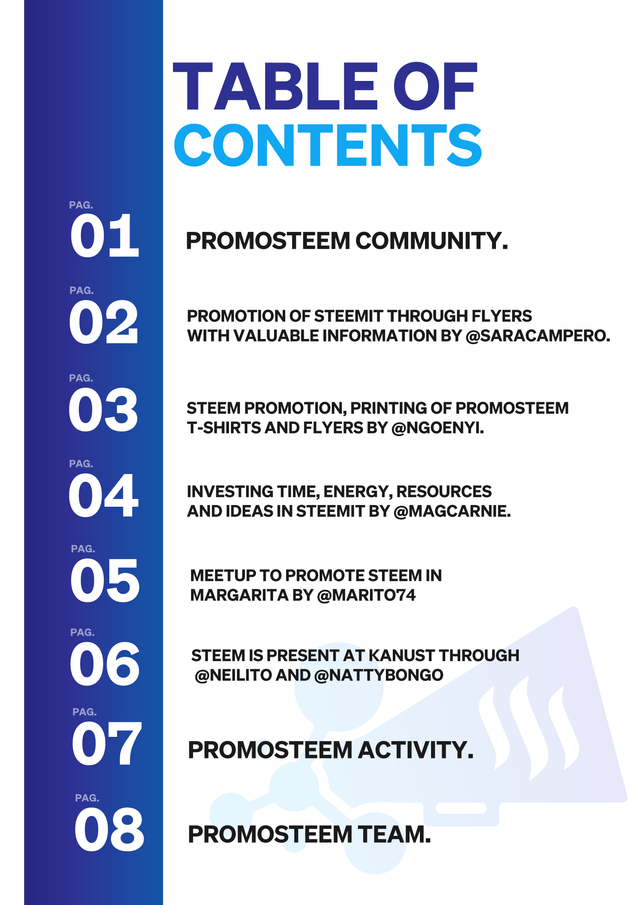 Promosteem_Magazine_01.png