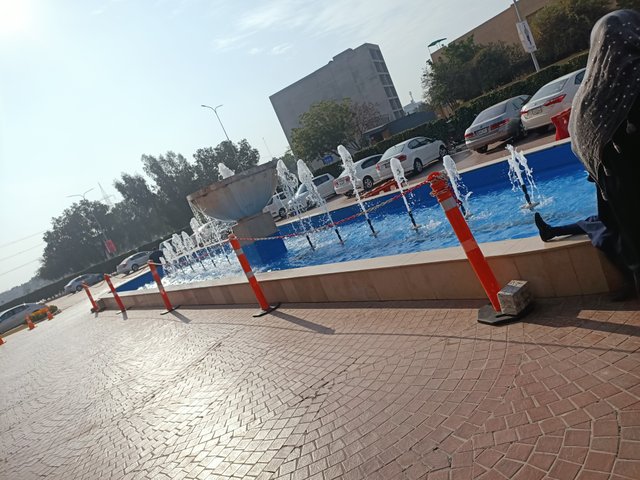IMG20250128145337.jpg