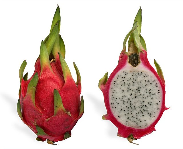 800px-Pitaya_cross_section_ed2.jpg