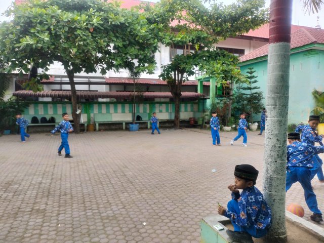 IMG20250409174910.jpeg