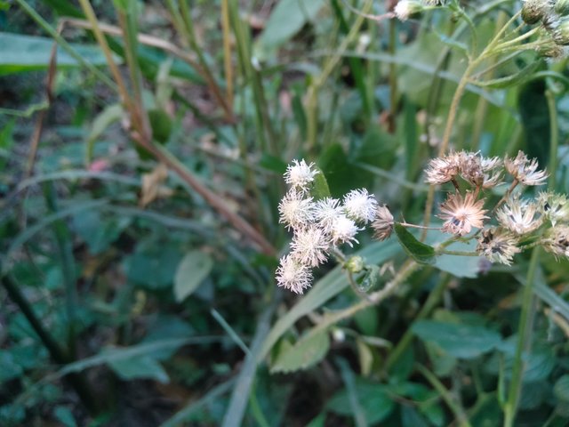 IMG20250308174711.jpg