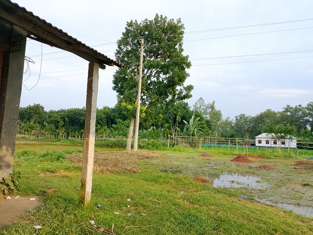 1000042293.jpg