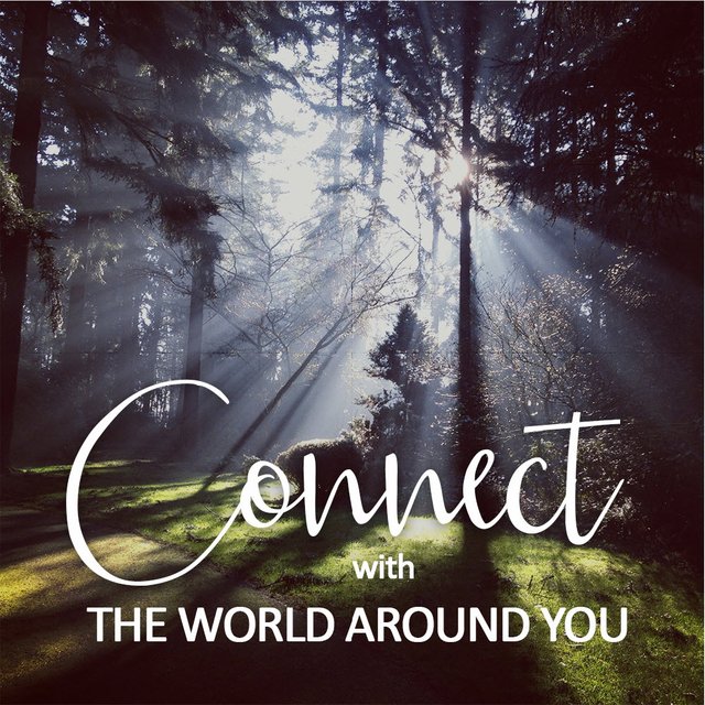 connect with the world around you nature scene.jpg