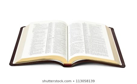 open-holy-bible-book-isolated-260nw-113058139.jpg