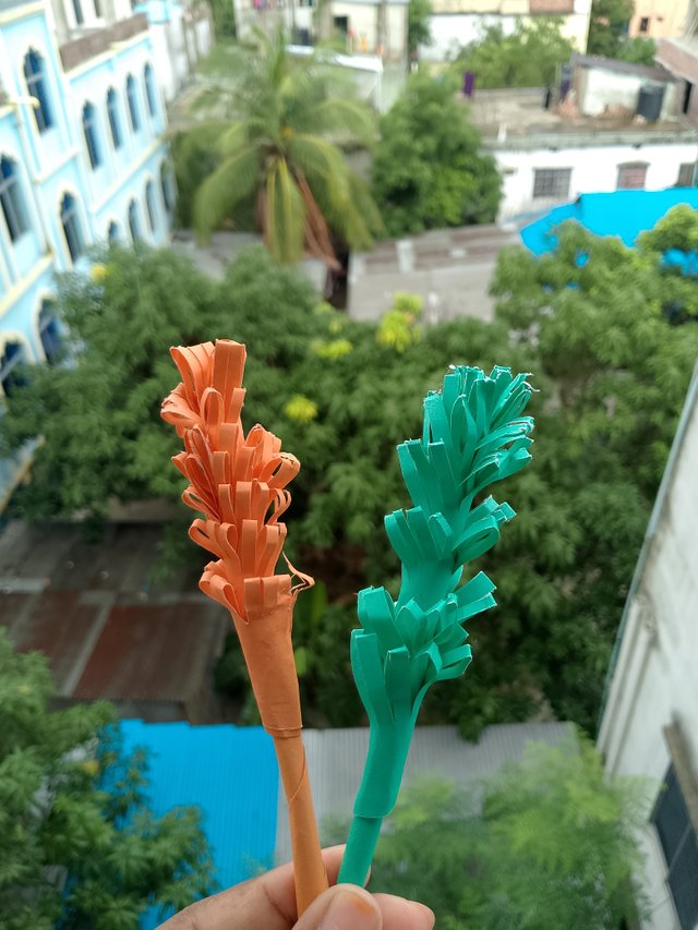 1000057649.jpg