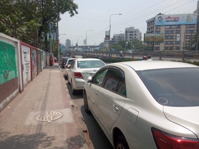 মিটি (3).jpg