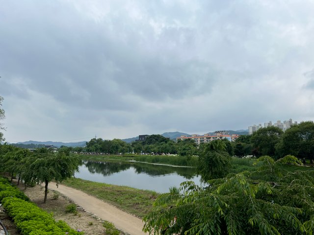 IMG_2977.jpeg