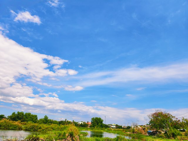 IMG_20250407_145537.jpg