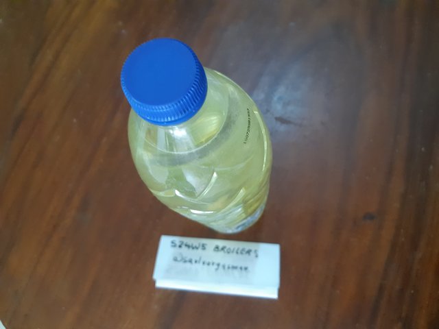 20250520_100419.jpg