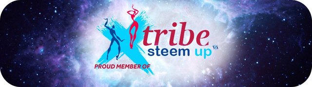 tribe-steemup-member-banner.jpg