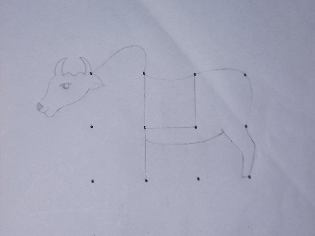 20250606_110546.jpg