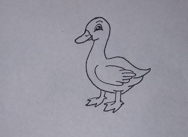 20250908_132205.jpg