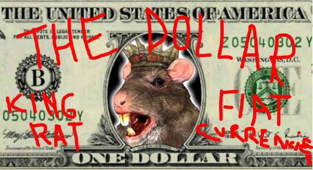 The dollar king rat of fiat currencies.PNG