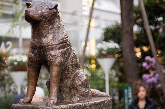 estatua-de-hachiko.jpg