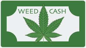 weed cash logo.jfif