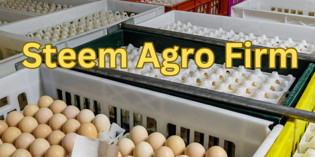 Steem Agro Firm (1).png