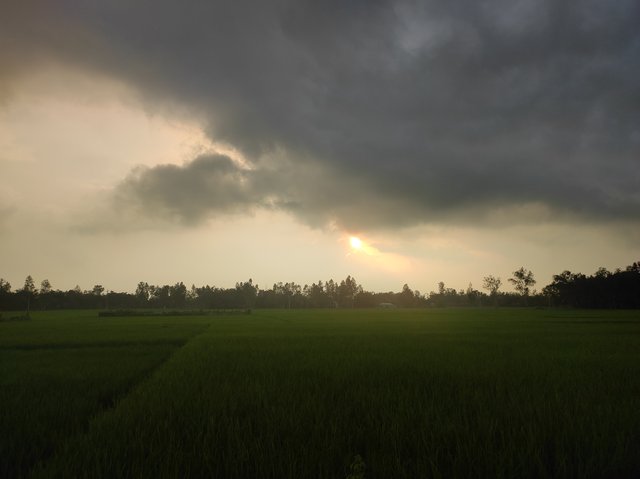 IMG_20250913_173346.jpg