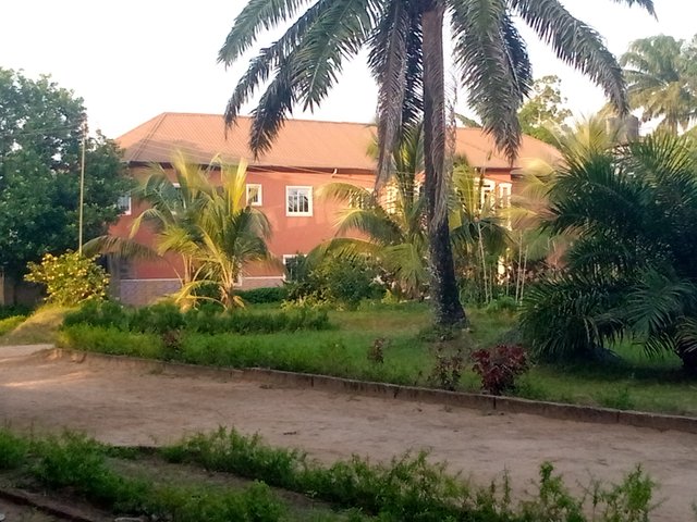 1000542835.jpg