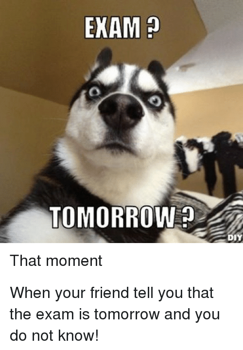 exam-tomorrow-diy-that-moment-when-your-friend-tell-31459226.png