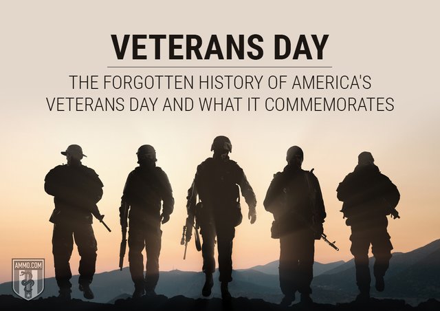 veterans-day-forgotten-history-what-it-commemorates.jpg