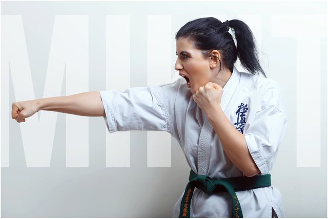 karate-5004620_1280.jpg