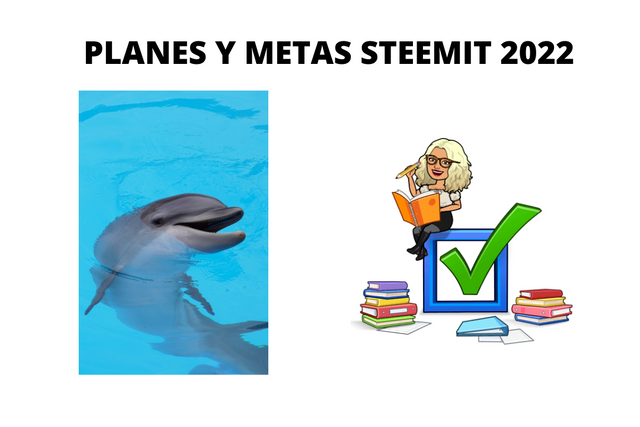 PLANES Y METAS STEEMIT 2022 (2).png