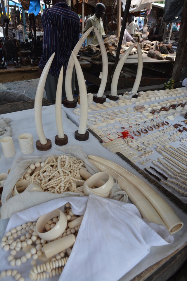 4.3 Obchod se slonovinou, ilegální - černý trh v Kinshasa, DRC, 2013.jpg
