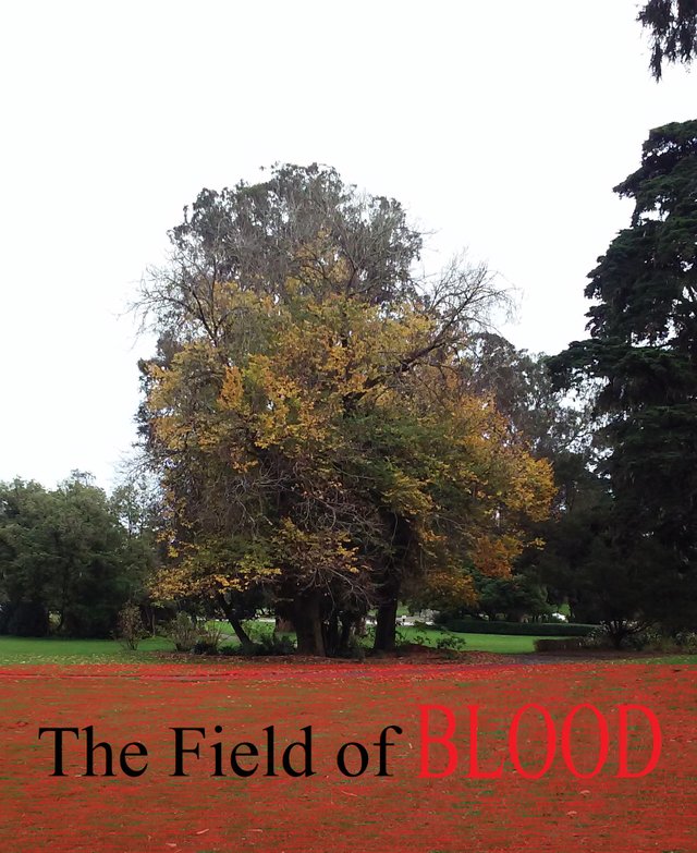 the field of blood, little version.jpg
