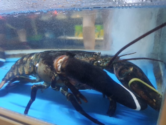 20180714_200740.jpg
