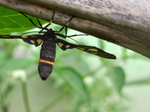 20250730_223913.jpg