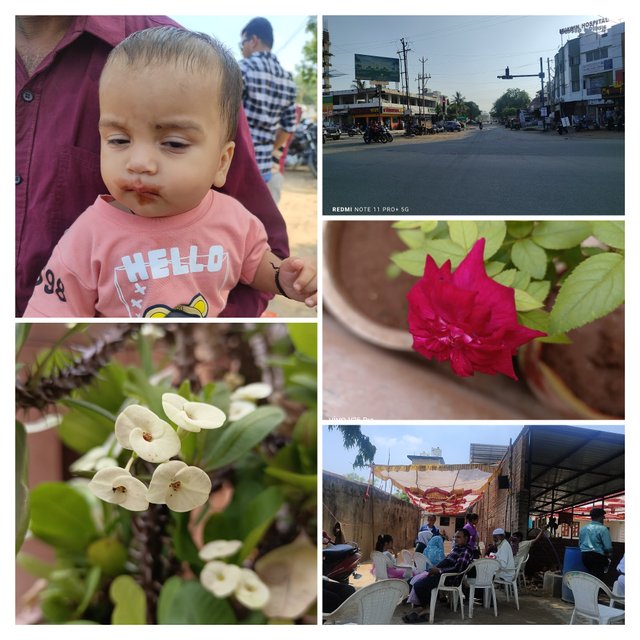 1746979747345-COLLAGE.jpg