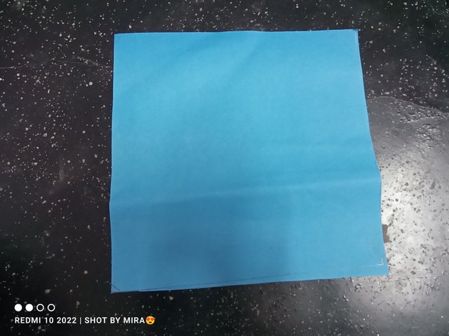 IMG_20250728_103437.jpg