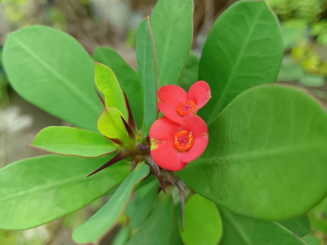 IMG_20250806_222618.jpg