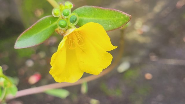 IMG-20250705-WA0024.jpg