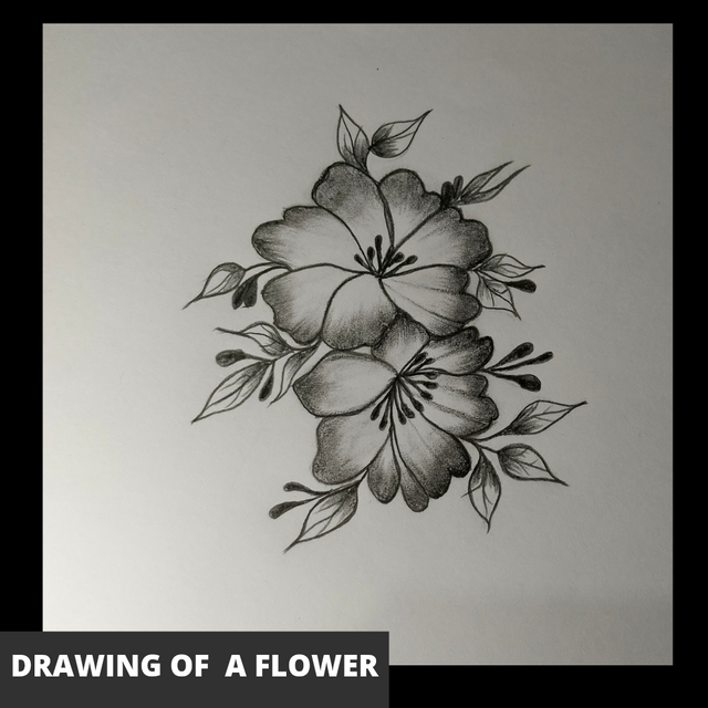 Black and White Buy 1 Get 1 Instagram Post_20250521_003019_0000.png