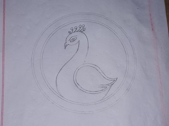 20250712_105708.jpg