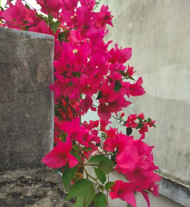 IMG_20250808_212738.jpg