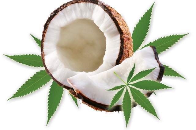 weed coconut .jpg