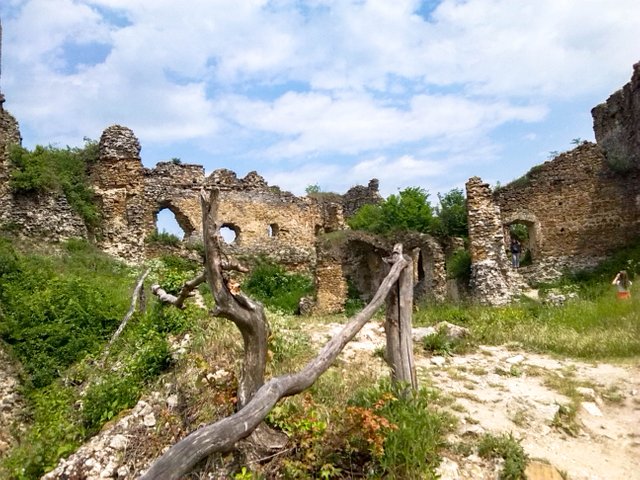 Ruins of the castle Čičva