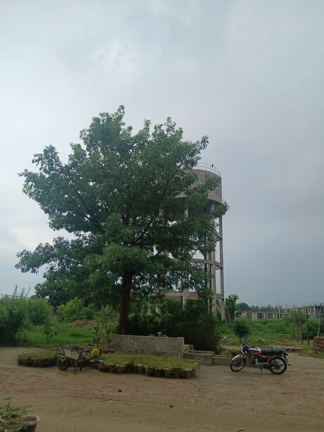 1000082539.jpg