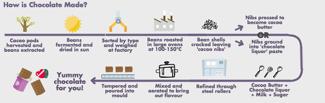 How-is-Chocolate-Made.png